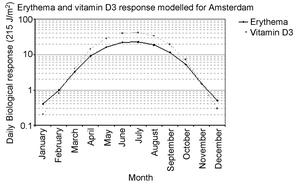 Graphical abstract: Comparison of human facial UV exposure at high and low latitudes and the potential impact on dermal vitamin D production