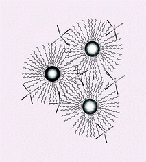 Graphical abstract: Purification of dodecanethiol derivatised gold nanoparticles