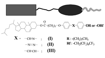 Graphical abstract: Comparison of the liquid crystalline properties of dimesogenic compounds bearing alkoxy and perfluoroalkoxy tails