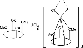 Graphical abstract: Uranium complexes with dianionic O-methylated calix[4]arene ligands