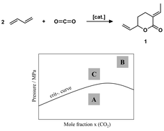 Graphical abstract: Control of homogeneously catalyzed reactions by phase equilibria