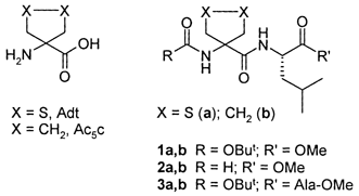 Graphical abstract: Peptide backbone folding induced by the Cα-tetrasubstituted cyclic α-amino acids 4-amino-1,2-dithiolane-4-carboxylic acid (Adt) and 1-aminocyclopentane-1-carboxylic acid (Ac5c). A joint computational and experimental study