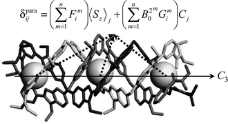 Graphical abstract: The solution structure of homotrimetallic lanthanide helicates investigated with novel model-free multi-centre paramagnetic NMR methods