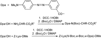 Graphical abstract: Development of a temporary marker for peptides