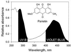 Graphical abstract: Is parietin a UV-B or a blue-light screening pigment in the lichen Xanthoria parietina?