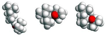 Graphical abstract: EPR and modelling studies of hydrogen-abstraction reactions relevant to polyolefin cross-linking and grafting chemistry