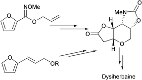 Graphical abstract: A convenient route to the furopyran core of dysiherbaine