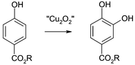 Graphical abstract: The phenol ortho-oxygenation by mononuclear copper(i) complexes requires a dinuclear μ-η2∶η2-peroxodicopper(ii) complex rather than mononuclear CuO2 species