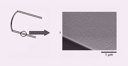 Graphical abstract: Simple method for preparation of nanostructure on microchannel surface and its usage for enzyme-immobilization