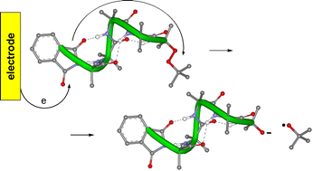 Graphical abstract: Intramolecular dissociative electron transfer