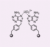 Graphical abstract: Reusable photonucleases: plasmid scission by a uranyl ion impregnated adenine homopolymer in the presence of visible light and sunlight