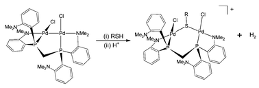 Graphical abstract: Diastereoselective formation of a dipalladium(i) complex supported by a bridging tetradentate ligand, and oxidative addition of RS–H across a phosphine-bridged PdI–PdI bond