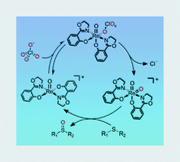 Graphical abstract: Swift oxo transfer reactions of perchlorate and other substrates catalyzed by rhenium oxazoline and thiazoline complexes