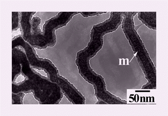 Graphical abstract: ZnS–Zn nanocables and ZnS nanotubes