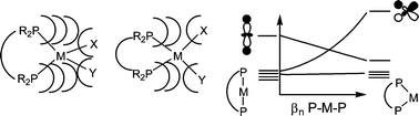 Graphical abstract: Bite angle effects in diphosphine metal catalysts: steric or electronic?