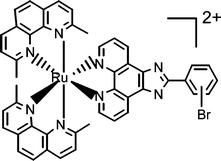 Graphical abstract: Effects of ligand planarity on the interaction of polypyridyl Ru(ii) complexes with DNA