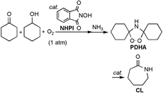 Graphical abstract: Synthesis of ε-caprolactam precursors through the N-hydroxyphthalimide-catalyzed aerobic oxidation of K/A-oil