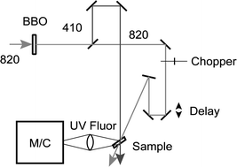 Graphical abstract: Ultrashort-lived excited states of aminophthalimides in fluid solution
