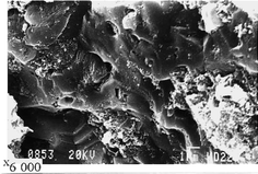 Graphical abstract: Environment-friendly method of high alkaline bauxite's Red Mud and Ferrous Slag utilization as an example of green chemistry