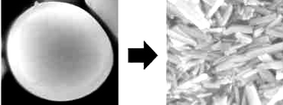 Graphical abstract: Spontaneous transformation of selenium from monoclinic micro-balls to trigonal nano-rods in ethanol solution
