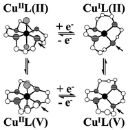 Graphical abstract: Chelate ring sequence effects on thermodynamic, kinetic and electron-transfer properties of copper(ii/i) systems involving macrocyclic ligands with S4 and NS3 donor sets