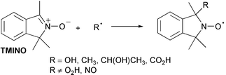 Graphical abstract: Application of the new EPR spin trap 1,1,3-trimethylisoindole N-oxide (TMINO) in trapping HO˙ and related biologically important radicals