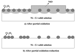 Graphical abstract: On the high creep resistant morphology and its formation mechanism in Ni–10 wt.% Cr anodes for molten carbonate fuel cells
