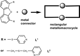 Graphical abstract: Molecular rectangles from metallomacrocycles: development of dibenzofuran ligands