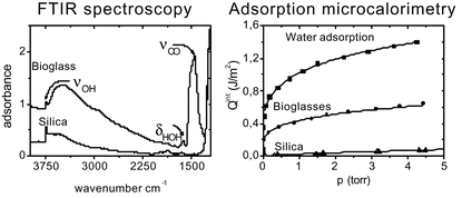 Graphical abstract: Characterization of sol–gel bioglasses with the use of simple model systems: a surface-chemistry approach