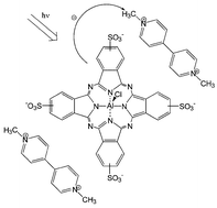 Graphical abstract: Spectroscopy of photoinduced charge-transfer reactions between tetrasulfonated aluminium phthalocyanine and methyl viologen