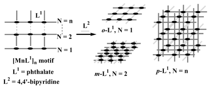 Graphical abstract: Structural transformation mediated by o-, m-, and p-phthalates from two to three dimensions for manganese/phthalate/4,4′-bpy complexes (4,4′-bpy = 4,4′-bipyridine)