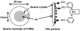 Graphical abstract: Photocatalyzed degradations on a TiO2-coated quartz crystal microbalance. I. Adsorption/desorption processes in the degradation of phenol and catechol