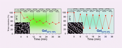 Graphical abstract: Thermosensitive PNIPAAm cryogel with superfast and stable oscillatory properties