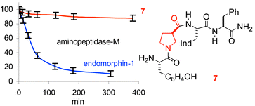 Graphical abstract: Stability against enzymatic hydrolysis of endomorphin-1 analogues containing β-proline