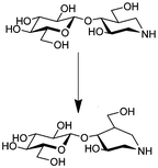 Graphical abstract: Distortion of a cellobio-derived isofagomine highlights the potential conformational itinerary of inverting β-glucosidases