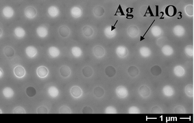 Graphical abstract: Monodisperse metal nanowire arrays on Si by integration of template synthesis with silicon technology