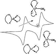 Graphical abstract: Outer-sphere electron-transfer between horse heart cytochrome c and anionic Cu(ii/i) complexes. Evidence for precursor formation and coordination sphere reorganization for electron transfer