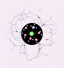 Graphical abstract: The influence of the Jahn–Teller effect and of heteroligands on the reactivity of Cu2+