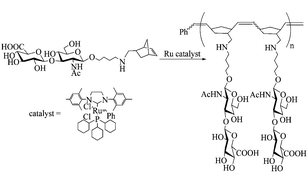 Graphical abstract: Synthesis of a hyaluronan neoglycopolymer by ring-opening metathesis polymerization