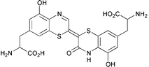 Graphical abstract: Ultrafast absorption and photothermal studies of decarboxytrichochrome C in solution