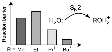 Graphical abstract: Nucleophilic identity substitution reactions. The reaction between water and protonated alcohols