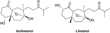 Graphical abstract: Chemical mediation of interactions among marine organisms