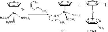 Graphical abstract: Some binding modes of 2-aminopyridine to ruthenium(ii) fragments