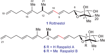 Graphical abstract: Total synthesis of the marine sponge metabolites (+)-rottnestol, (+)-raspailol A and (+)-raspailol B