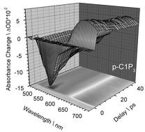 Graphical abstract: Generation dependent singlet–singlet annihilation within multichromophoric dendrimers studied by polychromatic transient absorption