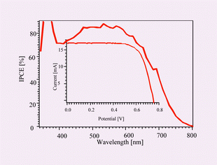 Graphical abstract: A swift dye uptake procedure for dye sensitized solar cells