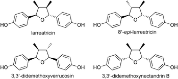 Graphical abstract: Synthesis and chiral HPLC analysis of the dibenzyltetrahydrofuran lignans, larreatricins, 8′-epi-larreatricins, 3,3′-didemethoxyverrucosins and meso-3,3′-didemethoxynectandrin B in the creosote bush (Larrea tridentata): evidence for regiospecific control of coupling