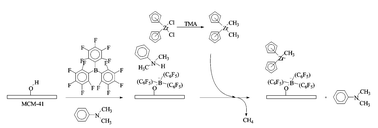 Graphical abstract: MCM-41 immobilised borate co-catalyst for metallocene catalyzed propene oligomerisation