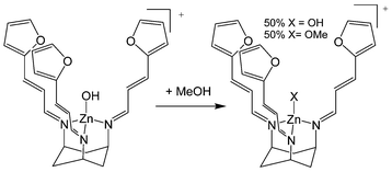 Graphical abstract: Synthesis and structure of [Zn(OMe)(L)]·[Zn(OH)(L)]·2(BPh4), L = cis,cis-1,3,5-tris[(E,E)-3-(2-furyl)acrylideneamino]cyclohexane: structural models of carbonic anhydrase and liver alcohol dehydrogenase