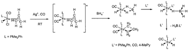 Graphical abstract: Nucleophilic attack on η3-allyl and η2-tetrahydroborate complexes of ruthenium(ii)